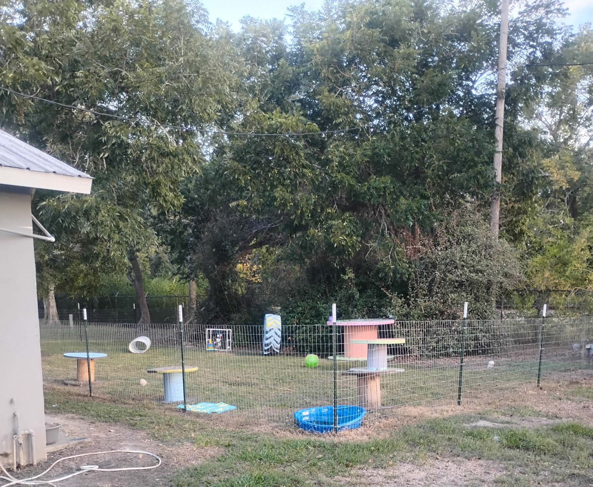 Dog park agility equipment including tunnels, platforms, and splash pool at Traveler's Paradise RV Park in Bay City, TX