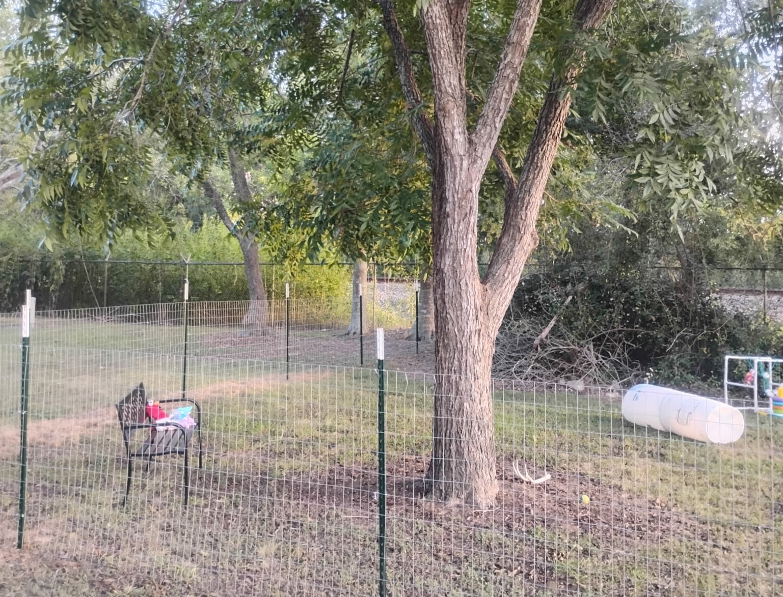 Shaded dog park area with bench seating and agility tunnel at Traveler's Paradise RV Park in Bay City, TX