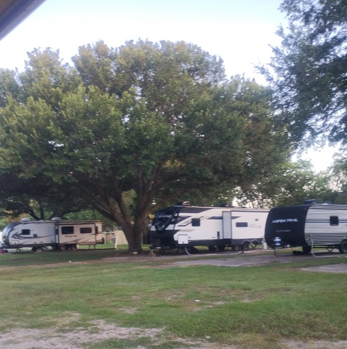 Row of travel trailers parked under large trees at Traveler's Paradise RV Park Bay City TX