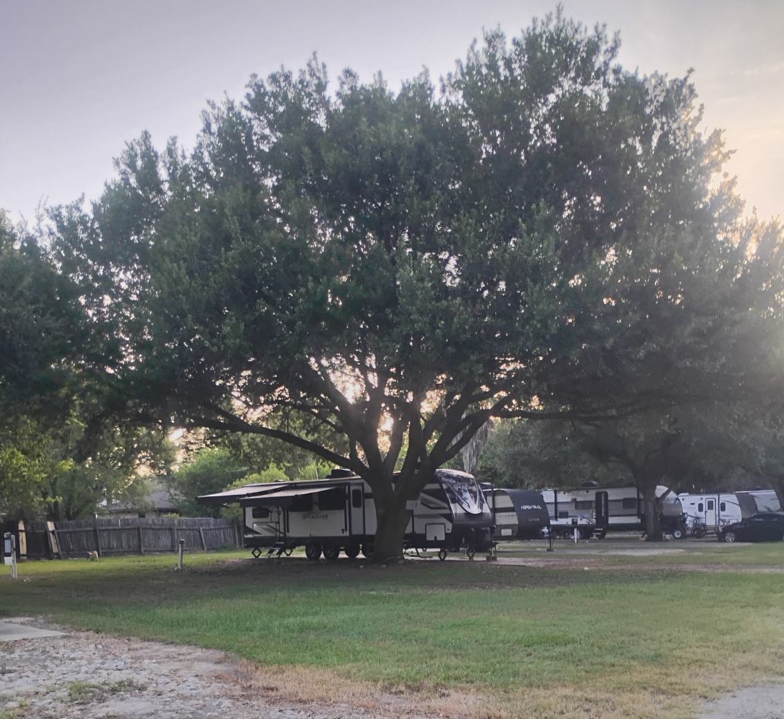 Travel trailers parked under a large oak tree at Traveler's Paradise RV Park in Bay City, TX