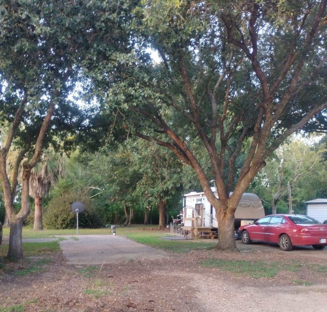 RV sites with shaded parking at Traveler's Paradise RV Park